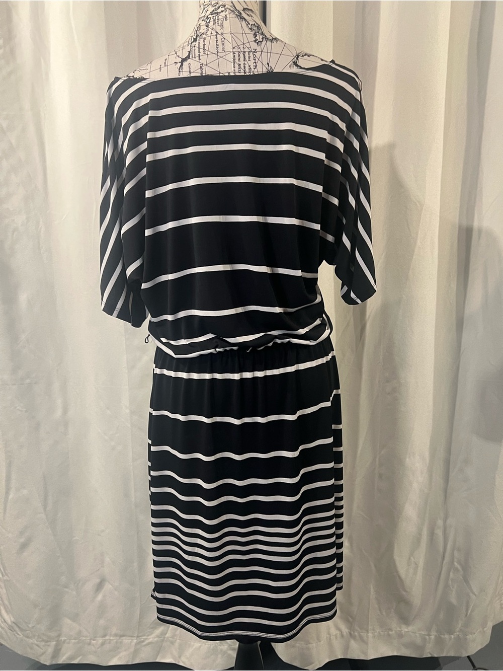 Perceptions Striped Black and White Elastic-Waist Midi Dress - Picture 7 of 10